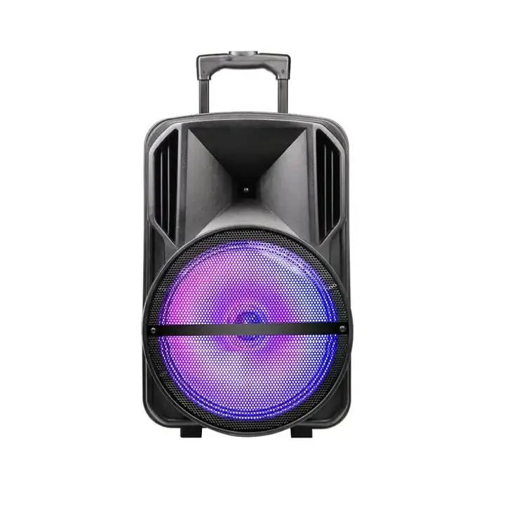 singel 12" speaker